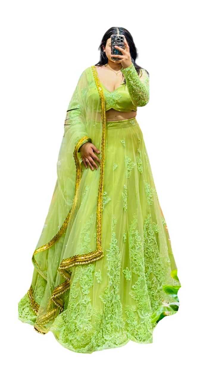 Beautiful Lehenga Choli-Parrot